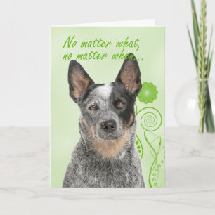 Carte d'amour et de soutien pour chien de bétail
