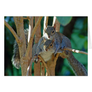 Carte d'amour fraternelle