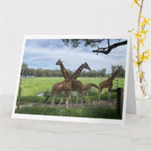 Carte d'amour Giraffe (Fleur jaune)
