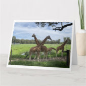 Carte d'amour Giraffe (Devant)