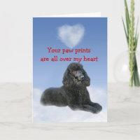 Carte d'amour pour chiot de poule