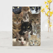 Carte d'Amoureux des chats (Fleur jaune)