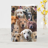 Carte d'Amoureux des chiens (Fleur jaune)