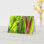 Carte Damselfly Balancé Sur Une Tête De Fleur (Fleur jaune)