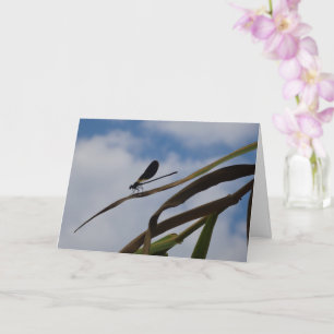 Carte Damselfly dans Blue Sky Card
