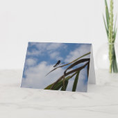 Carte Damselfly dans le ciel bleu (Devant)