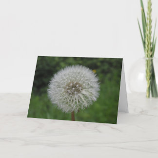 Carte dandelion