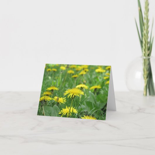 Carte Dandelion (Devant)