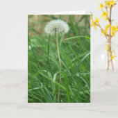 Carte Dandelion (Fleur jaune)