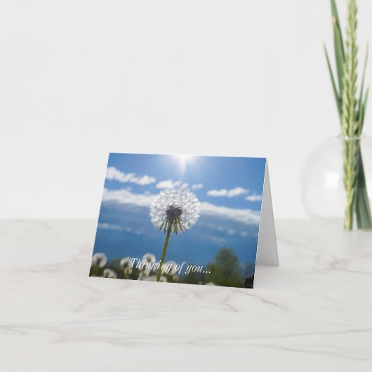 Carte Dandelion À La Lumière De Vous (Devant)