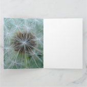 Carte Dandelion blanc (Intérieur)
