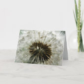Carte Dandelion Dreams (Devant)
