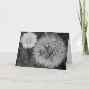 Carte Dandelion / Noir