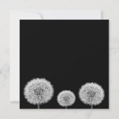 Carte Dandelion noir blanc closeup photo inspiré (Dos)