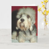 Carte Dandie Dinmont Terrier (Fleur jaune)