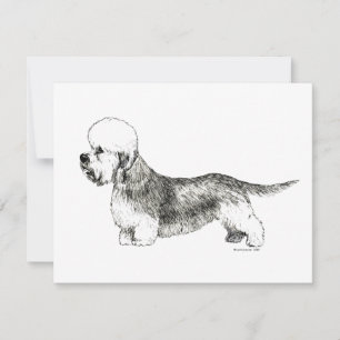 Carte Dandie Dinmont Terrier