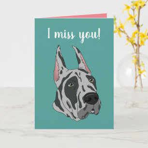 Carte Dane Harlequin Gris Vous Manque