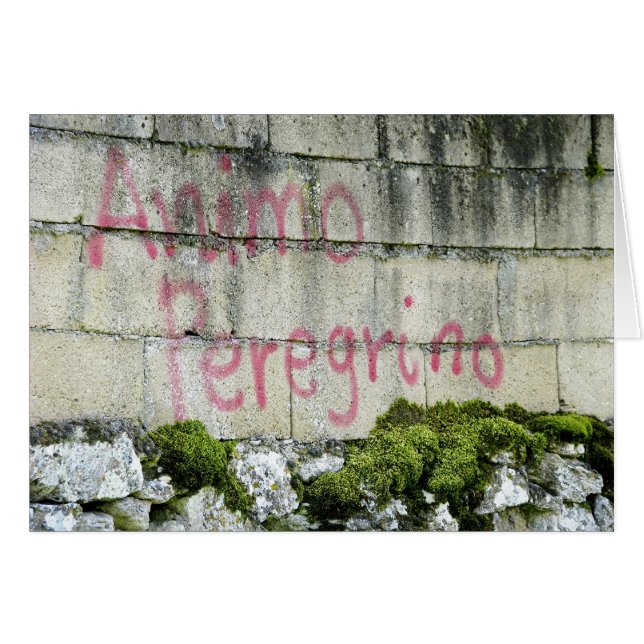 Carte d'Animo Peregrino (Devant horizontal)