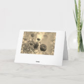 Carte Danke mit roten Rosen (Dos)