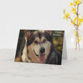 Carte d'anniversaire (Fleur jaune)