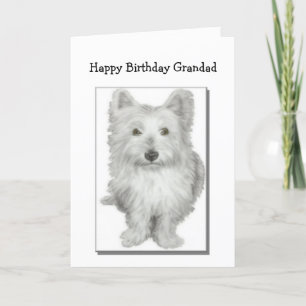 Carte d'anniversaire