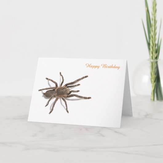 Carte d'anniversaire (Devant)