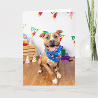 Carte d'anniversaire