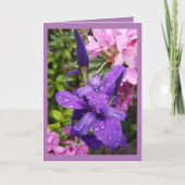 Carte d'anniversaire (Devant)