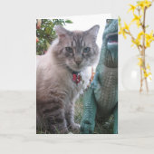 Carte d'anniversaire (Fleur jaune)