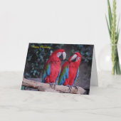 Carte d'anniversaire (Devant)