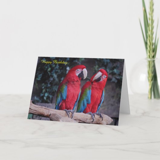 Carte d'anniversaire (Devant)