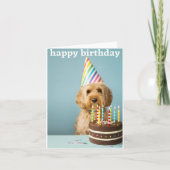 carte d'anniversaire (Devant)