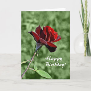 Carte d'anniversaire