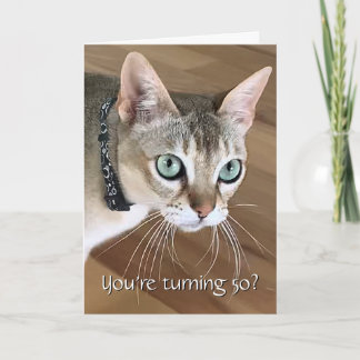 Carte d'anniversaire 50 ans Curious Cat