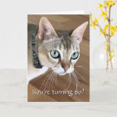 Carte d'anniversaire 60 ans Curious Cat (Fleur jaune)