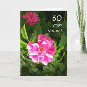 Carte d'anniversaire 60e - Roses roses roses