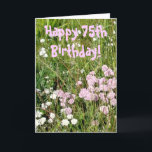Carte d'anniversaire 75e<br><div class="desc">Photographe de some pretty wild flowers taken late afternoon. Le jour de l'anniversaire de Noël A Wonderful !</div>