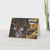 Carte d'anniversaire 8 Point Buck Deer (Devant)