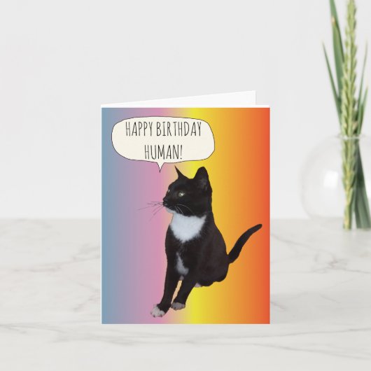 Carte d'anniversaire à personnaliser pour chat noi (Devant)