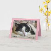 Carte d'anniversaire adorable de chat noir et blan (Fleur jaune)