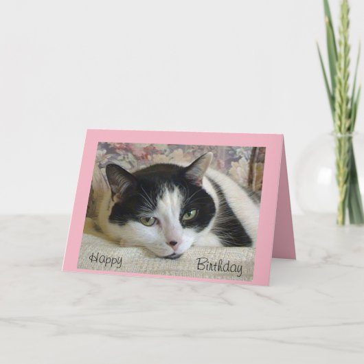 Carte d'anniversaire adorable de chat noir et blan (Devant)