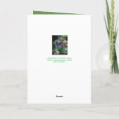 Carte d'anniversaire adorable de chaton (Dos)