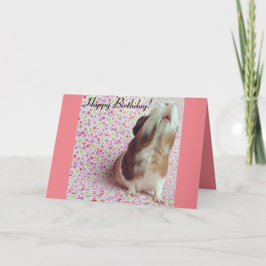 Carte d'anniversaire adorable de la Guinée Pig (Devant)