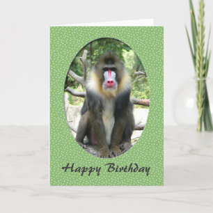 Carte d'anniversaire adorable pour babouin