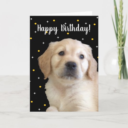 Carte d'anniversaire adorable pour chiot pour tout (Devant)