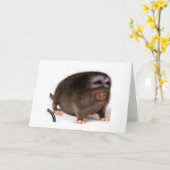 carte d'anniversaire affectueuse (Fleur jaune)