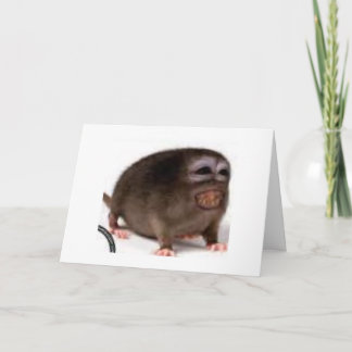 carte d'anniversaire affectueuse