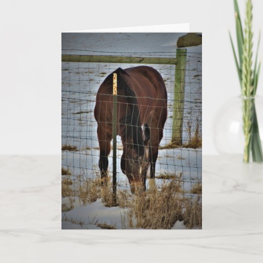 Carte d'anniversaire "Agape Acres" (Devant)