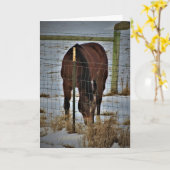 Carte d'anniversaire "Agape Acres" (Fleur jaune)