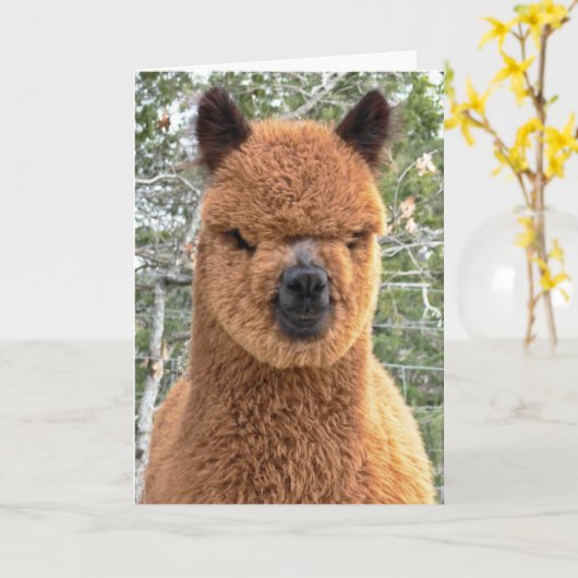 Carte d'anniversaire Alpaca (Fleur jaune)